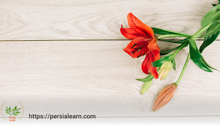 روش صحیح هرس گل لیلیوم پس از گلدهی در راستای طرز نگهداری گل لیلیوم در آپارتمان