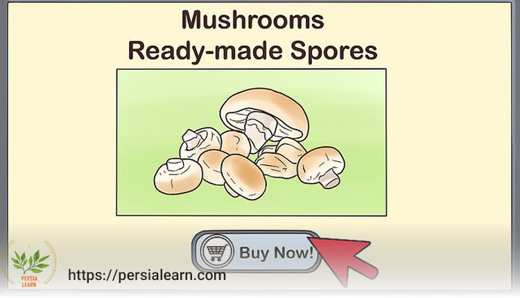 بذر قارچ خوراکی